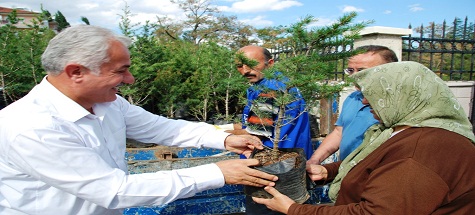 Mezarlıklarda Ücretsiz Fidan Dağıtıldı