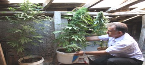 Çubuk'ta Uyuşturucu Operasyonu