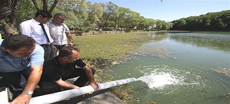 Karagöl'e 25 Bin Balık Yavrusu Salındı