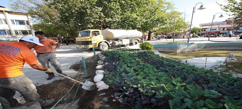 Çubuk Kışlık Çiçeklerle Süsleniyor