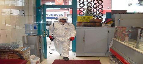 Gıda Üretim ve Satış Yerleri İlaçlandı