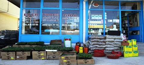 ESER TİCARETTE SATIŞA SUNULAN FİDELER YOK SATIYOR