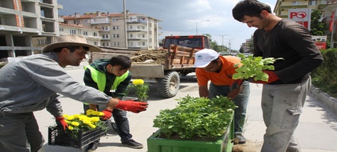 Parklar ve Caddeler Çiçek Açtı