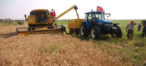 Çubuk Zahireciler Sitesi'nde hububat alımı başladı