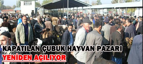 Çubuk'ta şap Nedeniyle Kapalı Tutulan Hayvan Pazarı Yeniden Açıldı