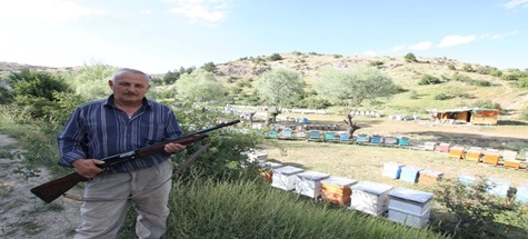 Çubuk'ta Arıcılar Ayı Nöbetinde