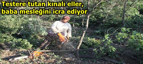 Testere tutan kınalı eller, baba mesleğini icra ediyor
