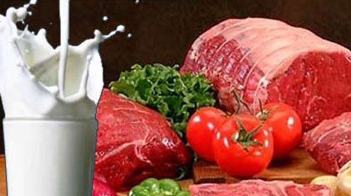 GIDA TERÖRİSTLERİNE KÖTÜ HABER