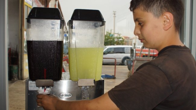 2dsc02586.jpg 2dsc02586.jpg