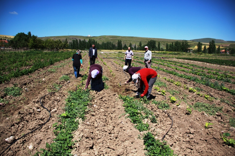 2img_8202.jpg 2img_8202.jpg