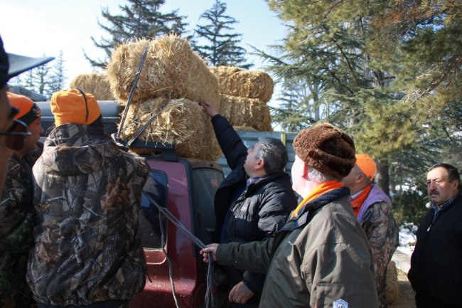 2img_9728.jpg 2img_9728.jpg