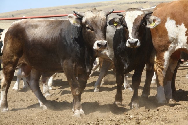 3img_1090.jpg 3img_1090.jpg