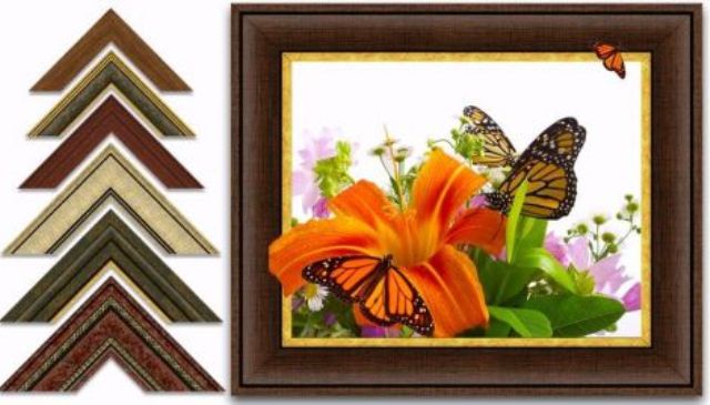 cercev03.jpg cercev03.jpg