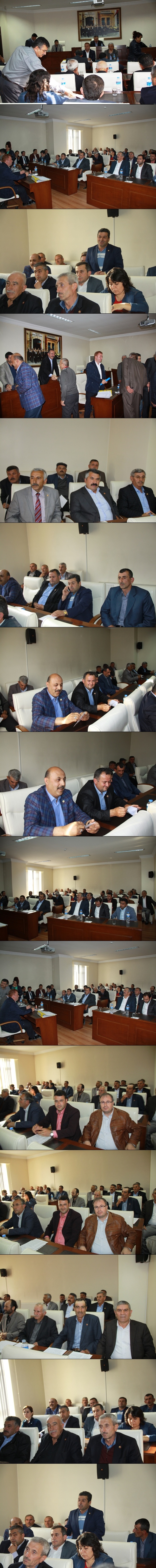 ciftci-mallari01-vert.jpg ciftci-mallari01-vert.jpg