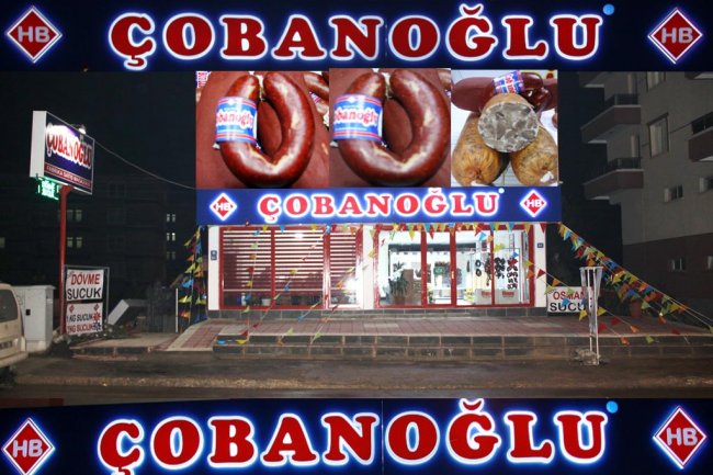 cobanoglu05.jpg