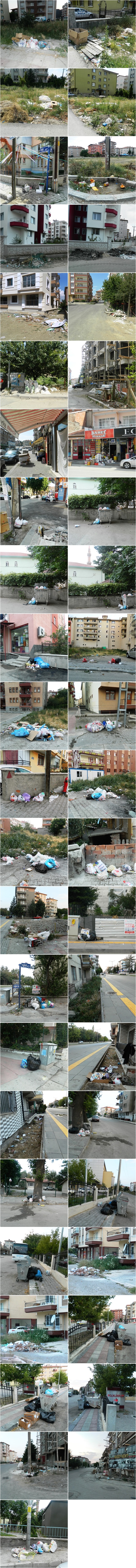 cop01-tile.jpg cop01-tile.jpg