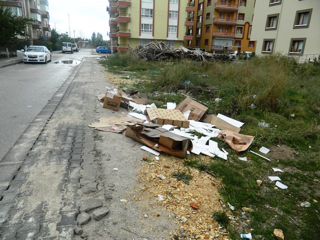 cop2-001.jpg cop2-001.jpg