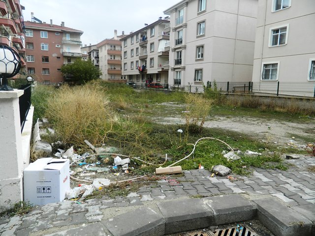 cop5-001.jpg cop5-001.jpg