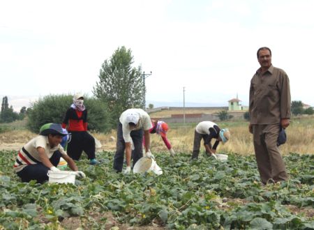 degisen-hava-sartlari-mevsimlik-iscileri-de-vurdu-844940_b.jpg