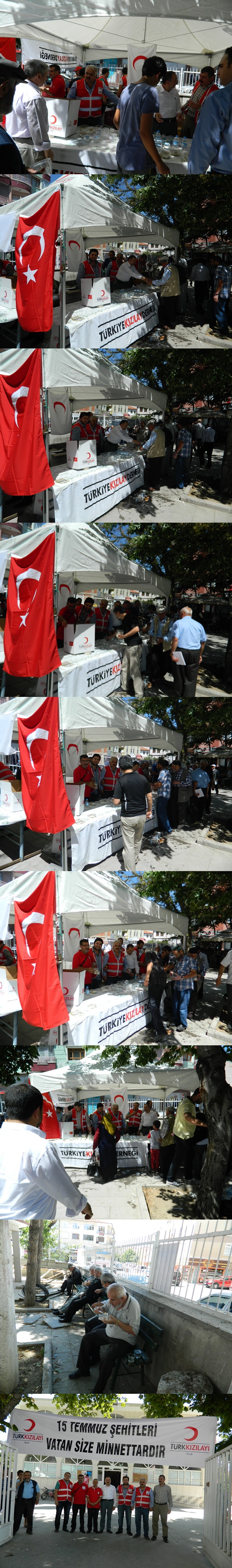 dscn0286-vert.jpg dscn0286-vert.jpg