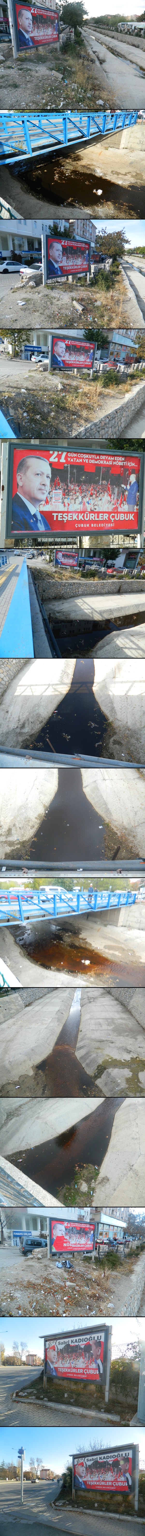 dscn1120-vert.jpg dscn1120-vert.jpg