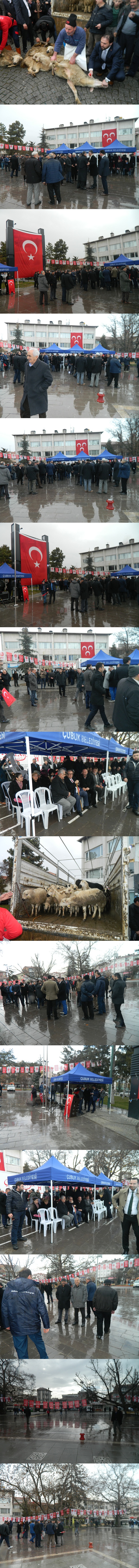 dscn9677-vert1.jpg dscn9677-vert1.jpg