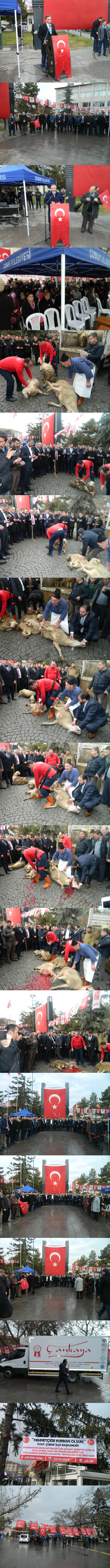 dscn9713-vert5.jpg dscn9713-vert5.jpg