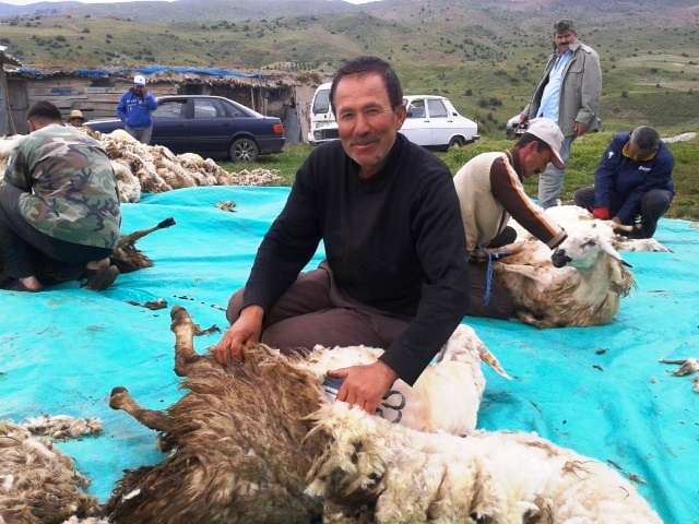 emrullah-ates.jpg emrullah-ates.jpg