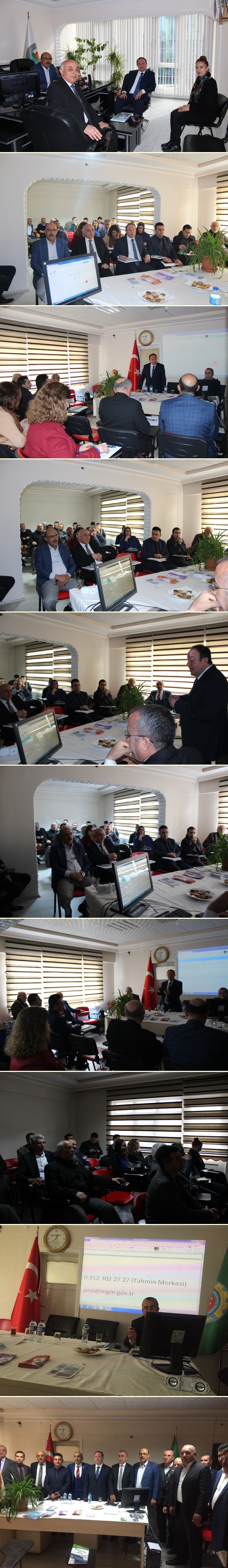 img_3656-vert.jpg img_3656-vert.jpg