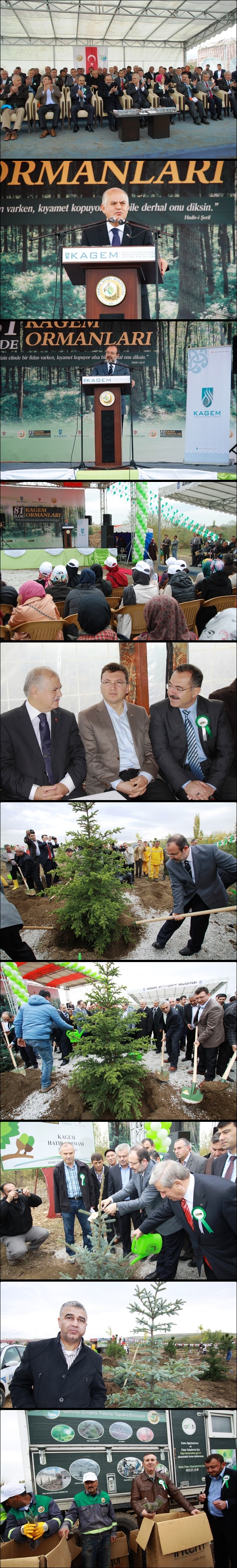 kagem01-vert.jpg kagem01-vert.jpg