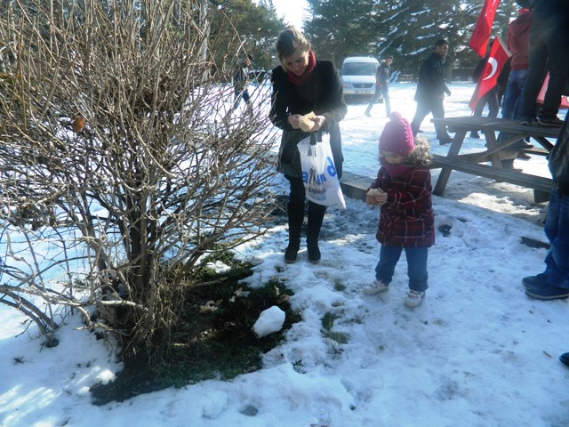 kent-konseyi15-001.jpg kent-konseyi15-001.jpg