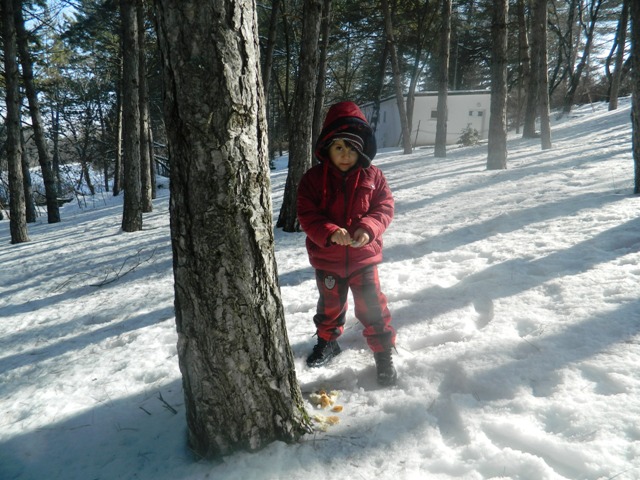 kent-konseyi19.jpg kent-konseyi19.jpg