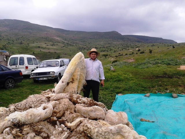 m.ali-genis.jpg m.ali-genis.jpg