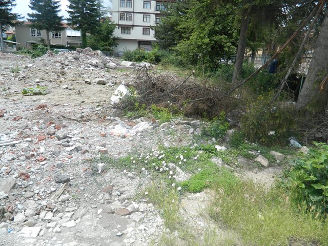 pancar02.jpg pancar02.jpg