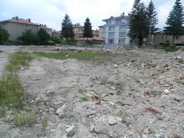 pancar03.jpg pancar03.jpg