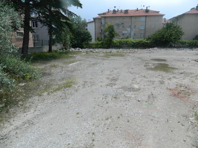 pancar04.jpg pancar04.jpg