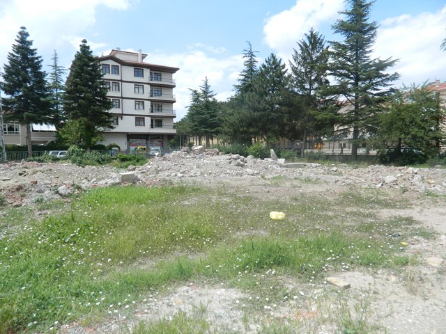 pancar06.jpg pancar06.jpg