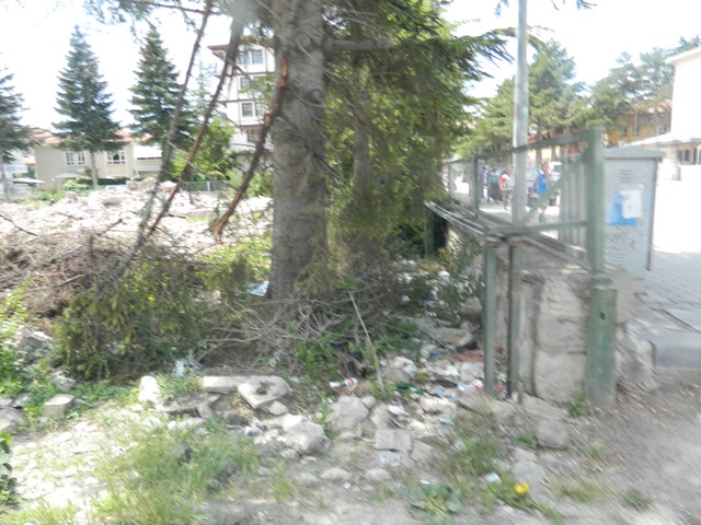 pancar07.jpg pancar07.jpg