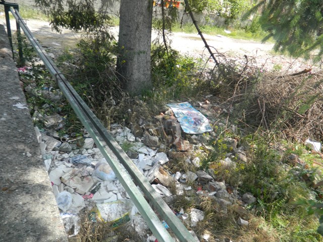 pancar08.jpg pancar08.jpg