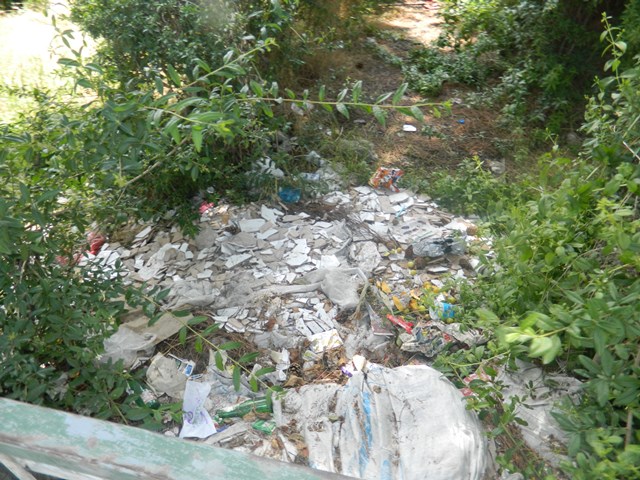 pancar09.jpg pancar09.jpg