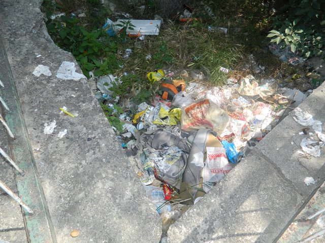 pancar10.jpg pancar10.jpg