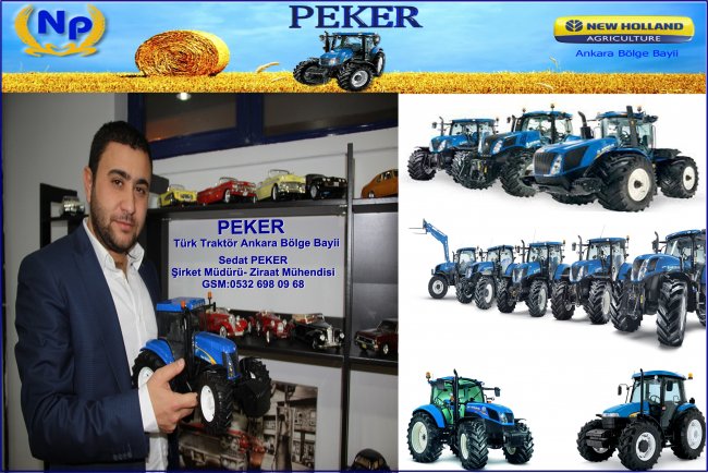 peker03-copy.jpg