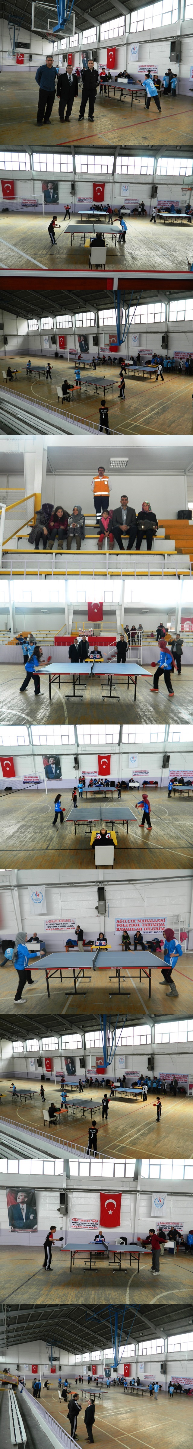 tenis1-vert.jpg tenis1-vert.jpg