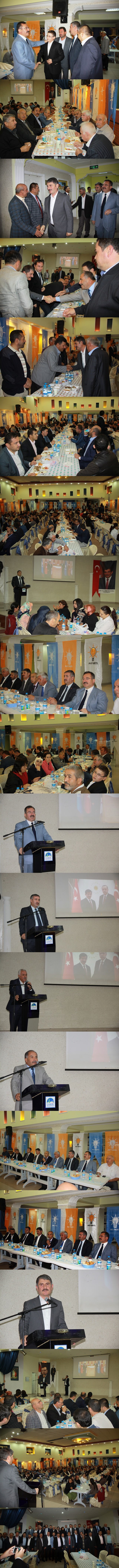 vefa--vert.jpg vefa--vert.jpg