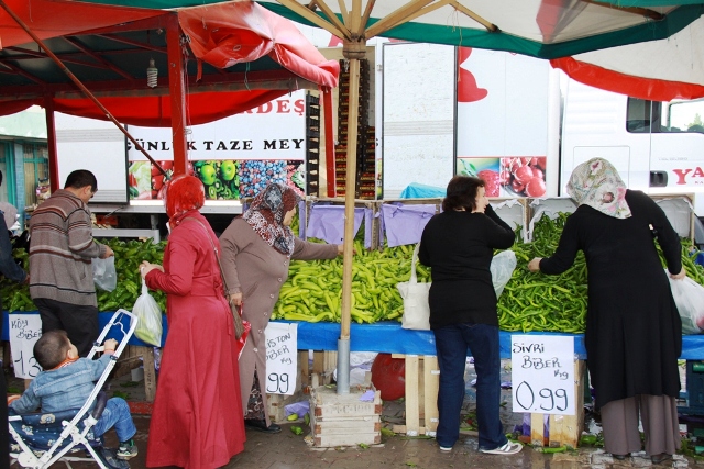 yasar04.jpg yasar04.jpg