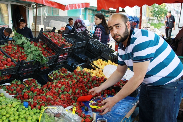 yasar11.jpg yasar11.jpg