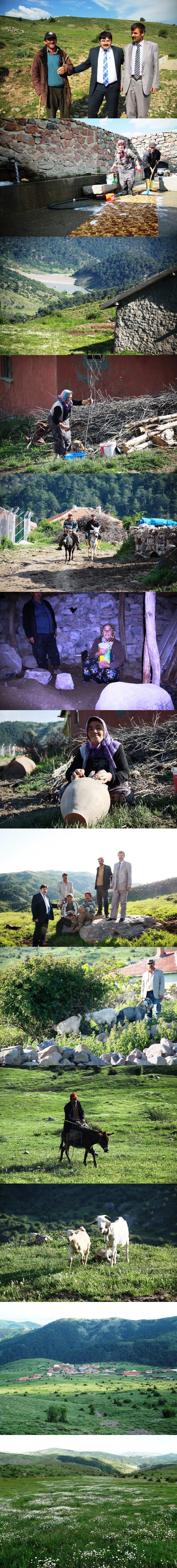 yayla0102-vert.jpg yayla0102-vert.jpg