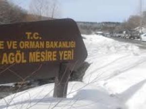 Çubuk Karagöl Grup Yolu 2017 Kar Manzarası