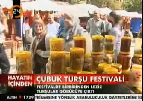 8,TURŞU VE KÜLTÜR FESTİVALİ