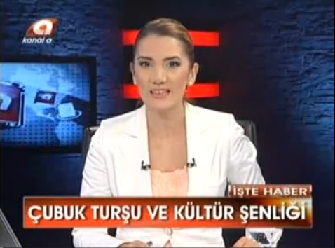 8.ÇUBUK TURŞU VE KÜLTÜR FESTİVALİ